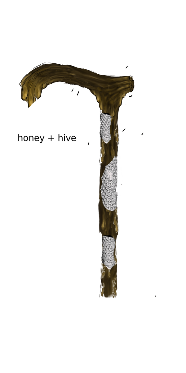 Honey walking stick RESERVED FOR SOPHIE