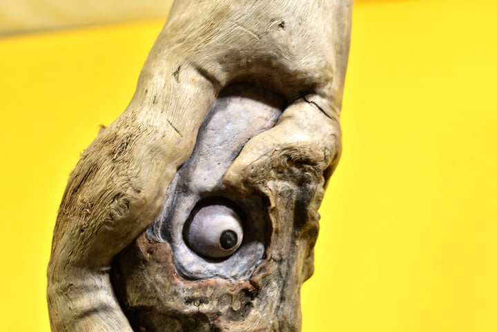 wood spirit carving death skull art driftwood sculpture,wooden wall hanging design driftwood wall art,handcarved wood face sculpture - AntSarT 