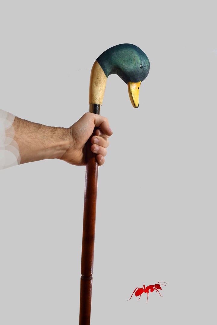 mallard duck walking stick