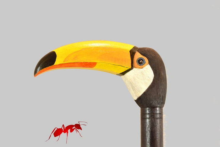 Toucan head handle ,hand carved cane for bird lovers,realistic original walking stick - AntSarT 