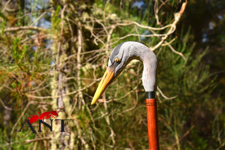 grey heron hiking stick