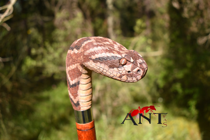 rattlesnake head walking stick