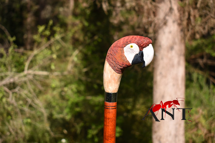 parrot head wood walking stick