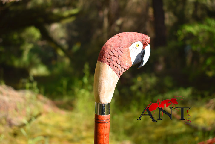 realistic scarlet parrot wood bird,hand carved stick for bird lovers,wooden hiking stick - AntSarT 