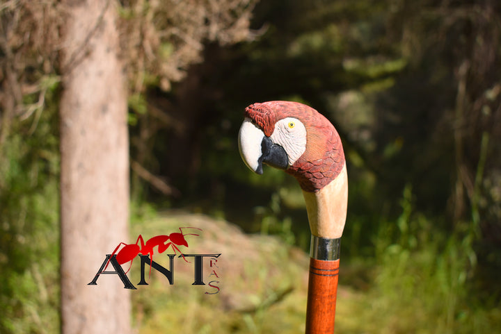 wood trekking pole parrot