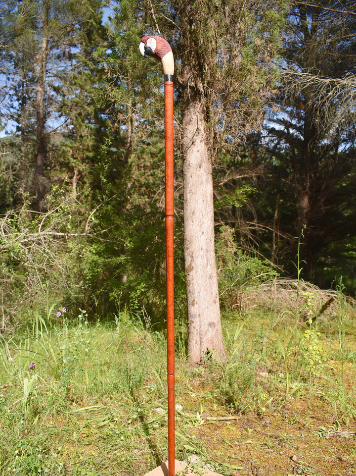 realistic scarlet parrot wood bird,hand carved stick for bird lovers,wooden hiking stick - AntSarT 