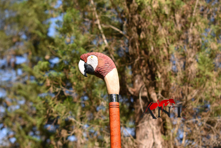 realistic scarlet parrot wood bird,hand carved stick for bird lovers,wooden hiking stick - AntSarT 