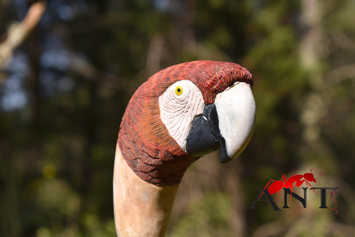 realistic scarlet parrot wood bird,hand carved stick for bird lovers,wooden hiking stick - AntSarT 