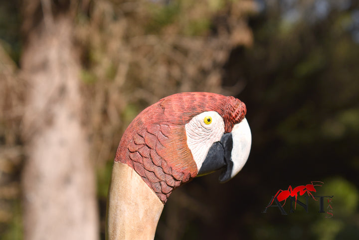 realistic scarlet parrot wood bird,hand carved stick for bird lovers,wooden hiking stick - AntSarT 