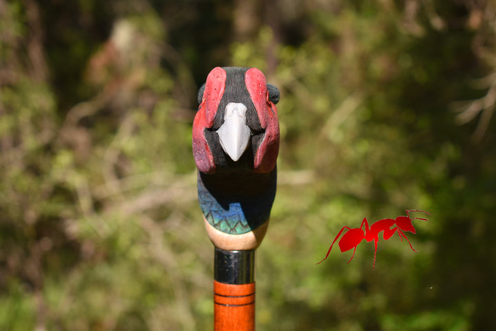 custom wood walking stick,pheasant bird,hunting decor gift for bird lovers - AntSarT 
