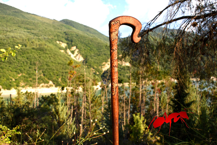 carved  Crook handle walking cane