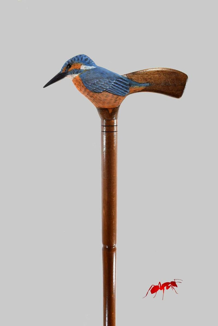 wooden walking stick kingfisher