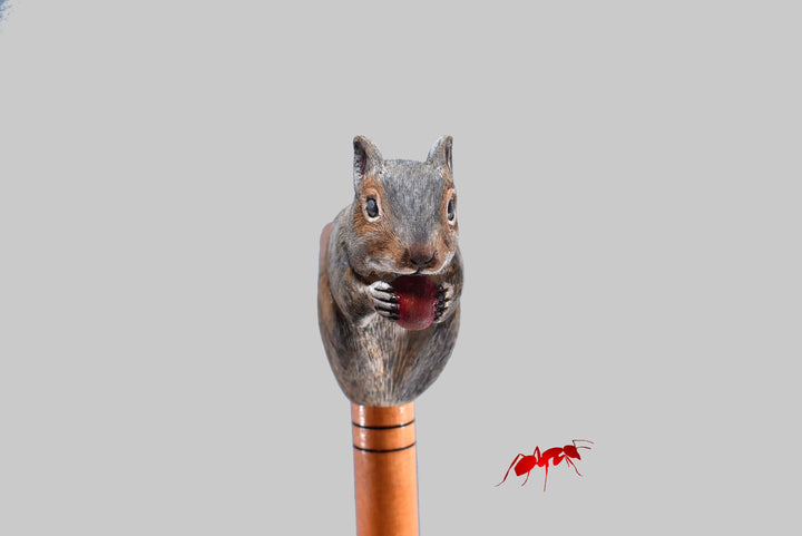 Stylish canes and walking sticks squirrel cane unique wooden gifts - AntSarT 