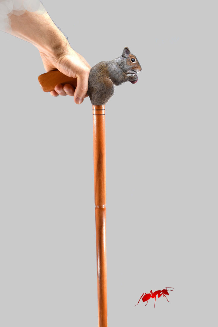 bastone da passeggio scoiattolo intagliato