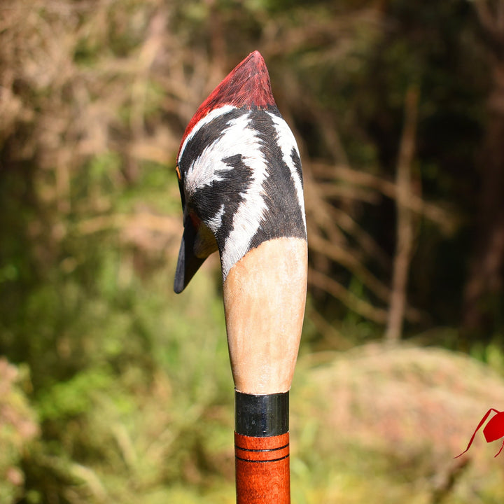 wooden hiking stick woodpecker,hand carved stick for bird lovers - AntSarT 