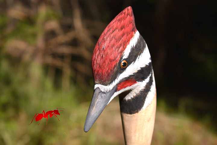 woodpecker head hand carved sticks